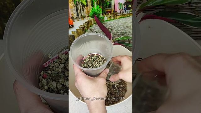 Фитильковый или фитильный полив своими руками.
