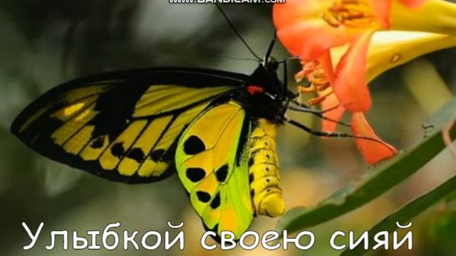 🌺Доброе утро🌺 Музыкальная открытка