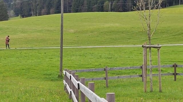 ГЕРМАНИЯ/Деревня в Баварии/ШИКАРНЫЙ вид на горы/Детская площадка в деревне смотреть онлайн