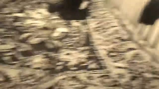 Обратная камера смотреть онлайн