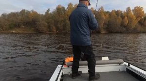 2021 Угличское водохранилище, Золотая осень, Отводной поводок с воблером