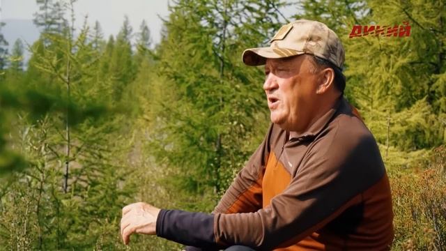 Анатолий Полотно и Тамара Кутидзе - Соколик