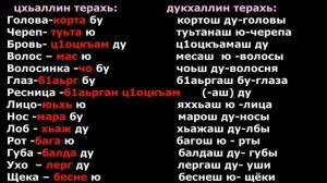 Урок 46. Дег1ан меженаш (Части тела). Изучение чеченского языка. Онлайн языки. Язык от А до Я