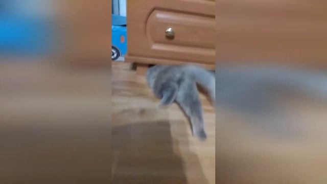 Тучка Винни Пух смотреть онлайн