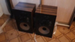 Акустика Sony Carbocon SS-5050