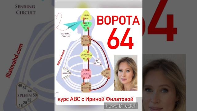 64 ворота. Контуры в Дизайн человека