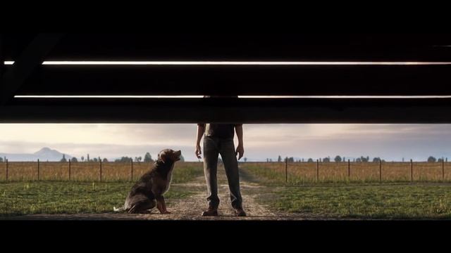 Farming Simulator 19 - Reveal Trailer смотреть онлайн