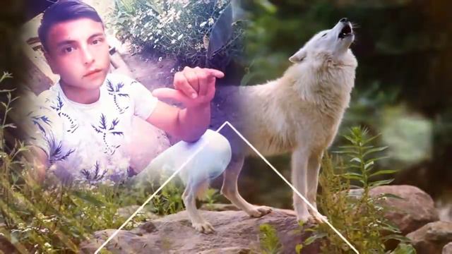 Farruh Bekov смотреть онлайн