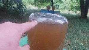 Ответ на вопрос за какое время пчелы потребят 5 литров сиропа.