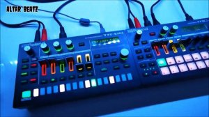 Roland TR-6S & MC-101. "The Perfect Couple"!!!  (Song: Smell the Flowers)