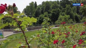 Город в кадре. Набережная Грина (15.07.2024)