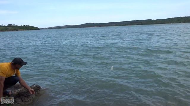 Ловля пассивного судака,летом в жару.2019. смотреть онлайн