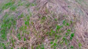 покатушка на мопеде racer trophy 110n #4