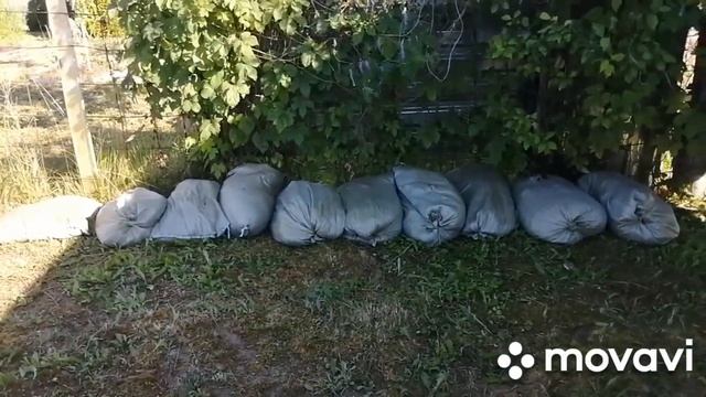 Влог/Ура, приехали родители, встречаем детей/Дачные посиделки / смотреть онлайн