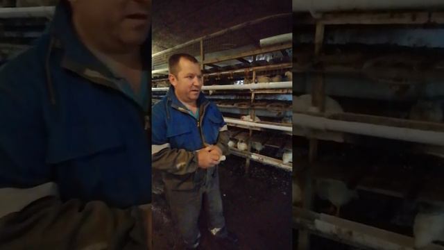 История одного Фермера , так как есть на сомом деле..... смотреть онлайн