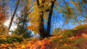 Афанасий Фет - Осень