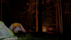 Мистическая история на ночь Хвостатым здесь не место. ЯР-МИР 1.