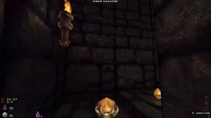 Heretic HD [Rain, Parallax, Voxels, Upscale, Resound] - E1M1: The Docks | 4K/60