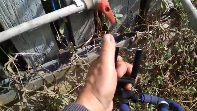 № 3 капельный полив #поливсада  #водопровод