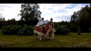 Танец «Ыржа лоэш кушкеш» исполняет ансамбль «Шындыр» Шиндръяльский ДК МБУК «Горномарийская ЦКС», ру