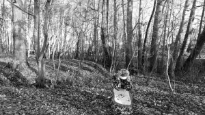 Татарское народное сказание "Сак-сок"