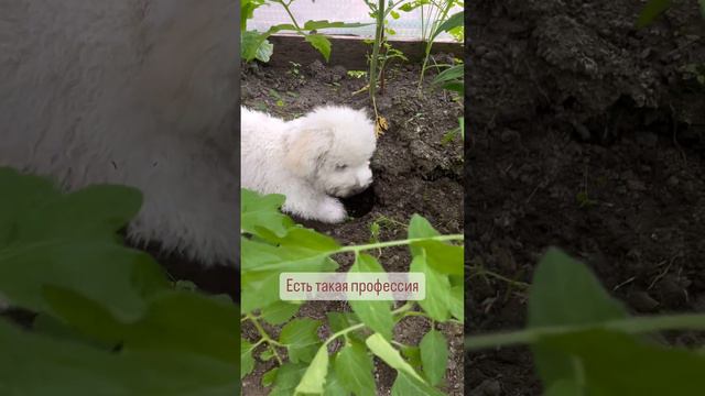 Пока справляюсь 🥰