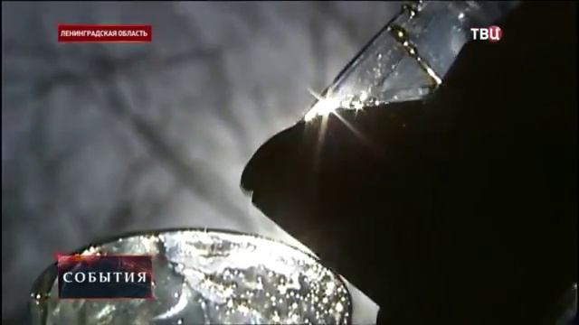 ТВЦ: В Петербурге варят кленовый сироп "6 кленов", по качеству превосходящий канадский. смотреть онлайн