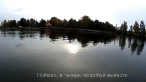 Использование релизера на крупной рыбе во время турнира