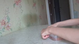 Как вырастить плесень.