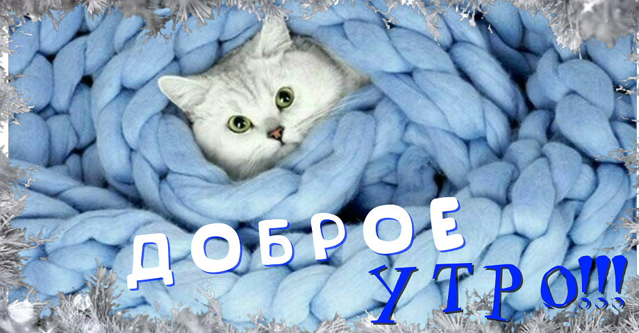 Доброе зимнее утро Душевные пожелания и заряд на позитив Музыкальная открытка