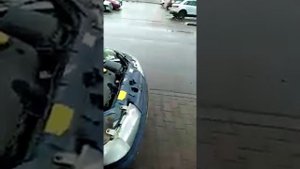Крыса под капотом, жесть...