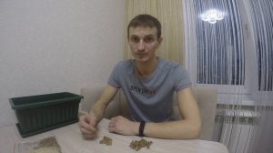 КАК САЖАТЬ ЧУФУ(ТИГРОВЫЙ ОРЕХ) ЧАСТЬ 1. ТЕОРИЯ