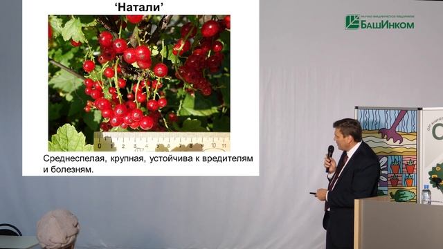 Школа ОЖЗ (7) - обзор лучших сортов ягодных плодовых культур