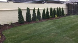 Видеообзор системы автополива на участке от 16-06-2019