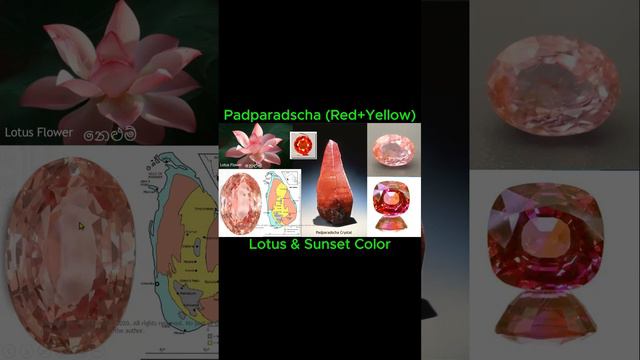පද්මරාග සහ පද්මරාජ (රතු + කහ ) හඳුනාගනිමු 👍😏 #gemology #sinhala  #padparadschasapphire #ananda смотреть онлайн