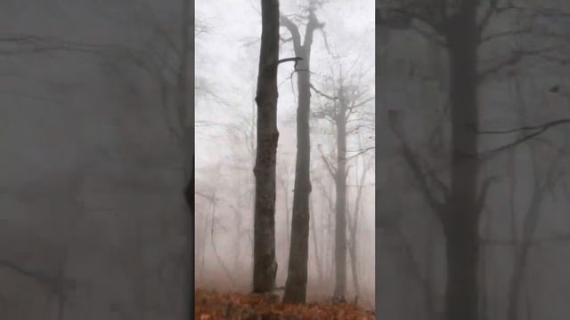 Крымский Национальный Парк смотреть онлайн