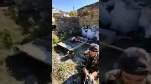 Лакку балай. Лакку билаят.  Лакцы. Красивый голос. Дагестан. Лакская песня. Родной язык. Лак.