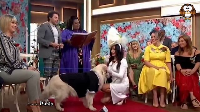 Tak Tahan Jomblo Dan Kesepian,, BULE Cantik "Begituan" Dengan Anjing Peliharaan!! смотреть онлайн