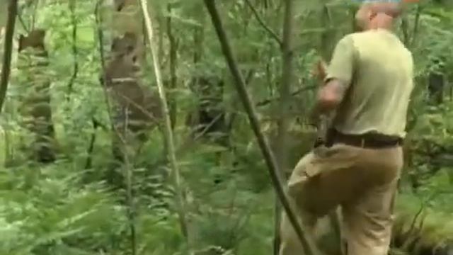 Рейтинг Баженова "Могло быть хуже".С ног на голову(№16).