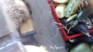 Шибер своими руками.