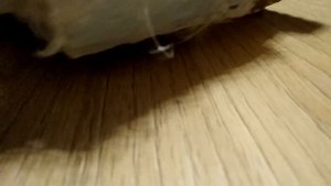 Самодельный радиоуправляемый танк.