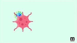 Видео-презентация о действии онколитических вирусов