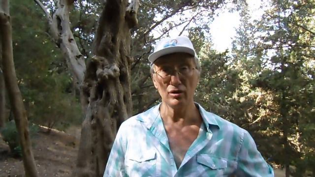 Психология борьбы с неудачами смотреть онлайн