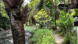 The Hotspring Beach  Resort & Spa Phuket . Travel video