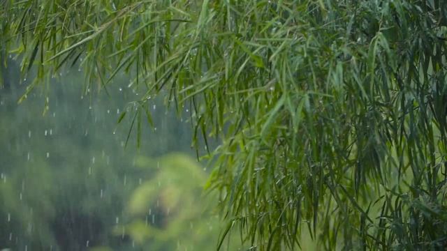 Нормализация Работы Молочной Железы - Профилактика Лимфатических Сосудов | САБЛИМИНАЛЫ смотреть онлайн