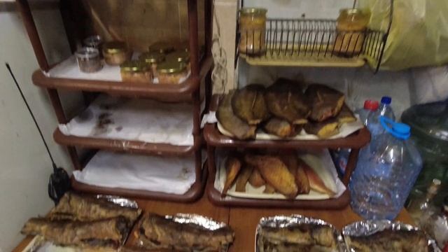 Териберка в начале зимы. Русская Арткика: северное сияние и красота Заполярья смотреть онлайн