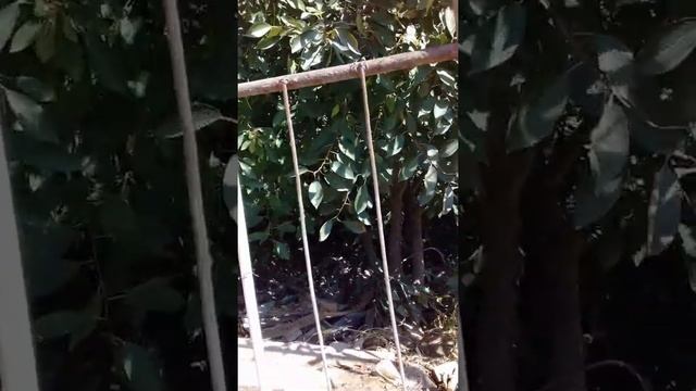 Минус при соединении пластиковой трубы при помощи газового баллона смотреть онлайн