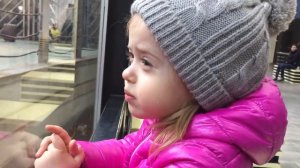 "розовый слон" OST ("Боба и слон") Амалия Соколовская