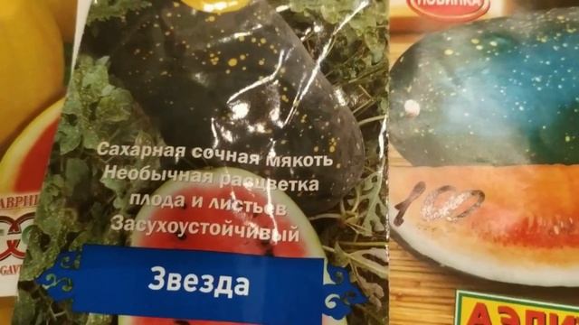 Сажаем арбузы на севере Московской области / Кай F1, Марбл F1 и другие смотреть онлайн