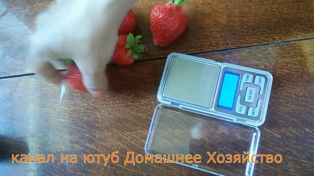 Земляника в СИБИРИ//Азия смотреть онлайн